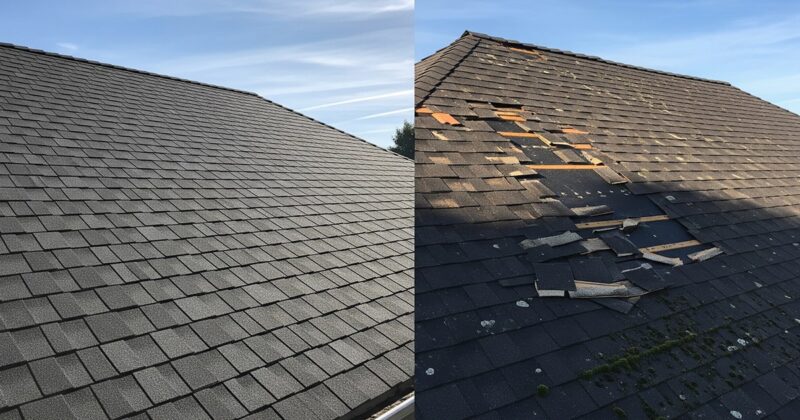 damaged roof vs the best roof