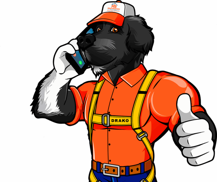 drako call us now